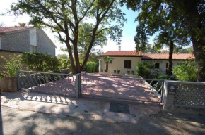 Apartment Igor